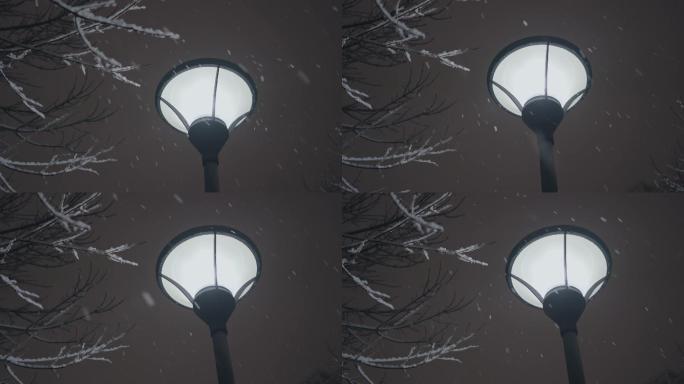 夜晚，雪下的路灯和树枝
