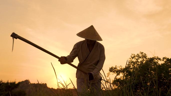 古代穿汉服农夫刨地，夕阳朝阳