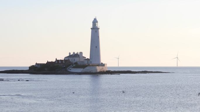 清晨的灯塔，一群海鸟在平静的海面上低飞，地平线上有风力涡轮机