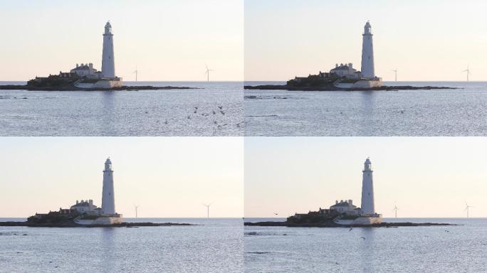 清晨的灯塔，一群海鸟在平静的海面上低飞，地平线上有风力涡轮机
