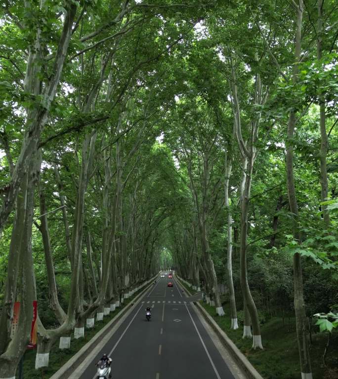 南京中山陵