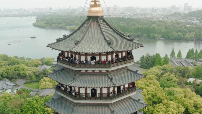 浙江杭州西湖雷峰塔雄蜂图