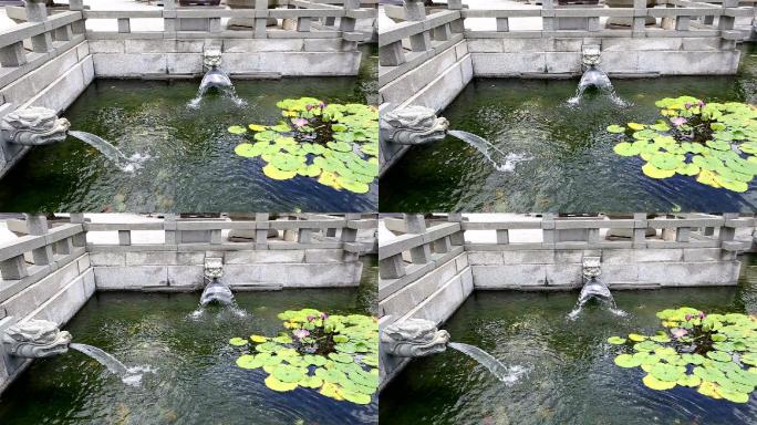 中国龙头喷泉和睡莲