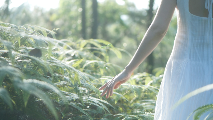 女孩在山林行走背影伸手抚摸小草叶子视频