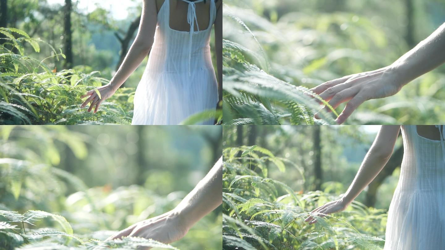 女孩在山林行走背影伸手抚摸小草叶子视频