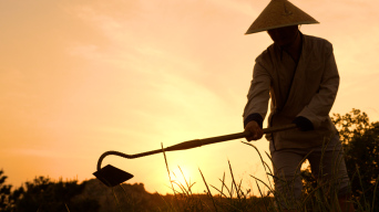 锄禾,汉服农夫锄地,夕阳日出(写意)视频素材
