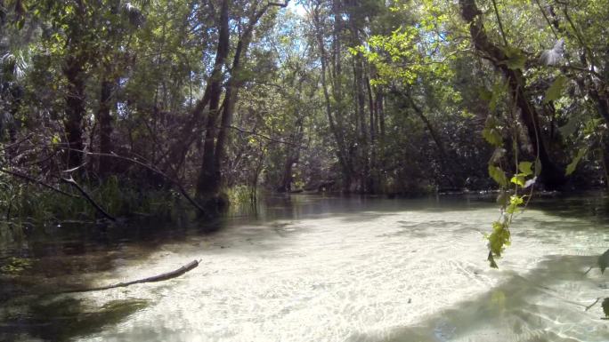 沿着蜿蜒的清澈小溪缓慢漂流，穿过热带森林