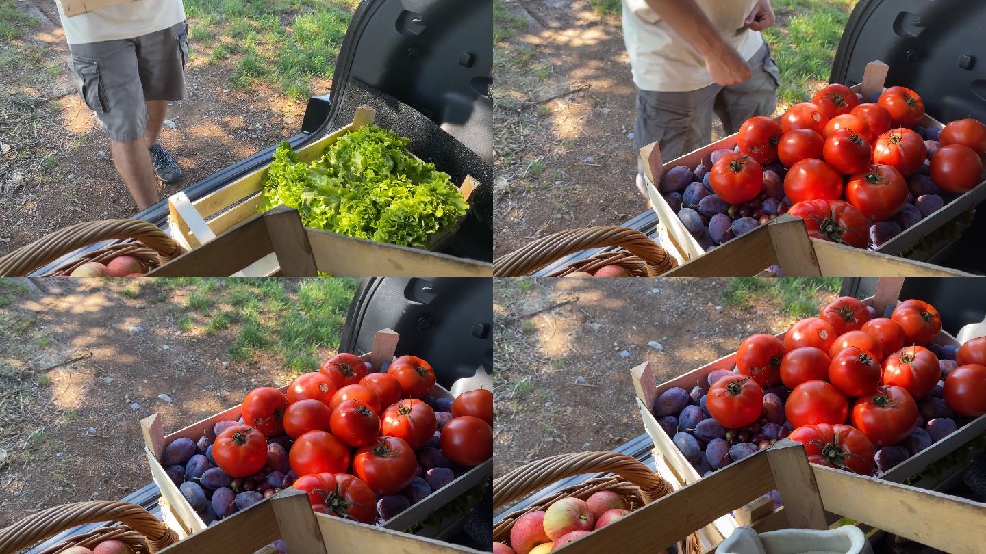 车后备箱里的新鲜蔬菜和水果