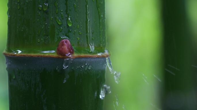 唯美雨景意境空镜禅意诗意