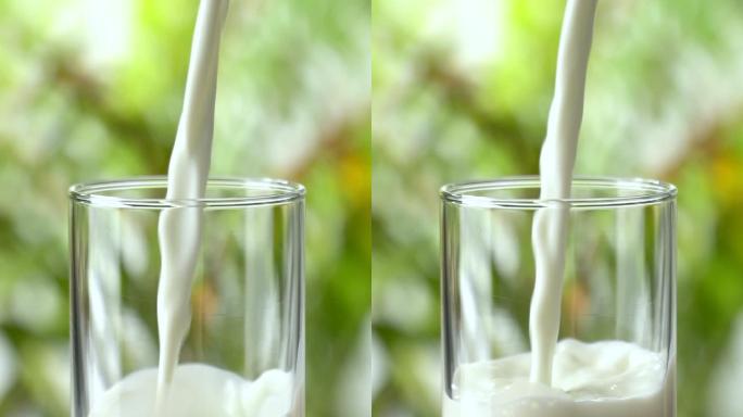 垂直和慢动作：将牛奶倒进一个酒杯，背景是茂盛的树叶。