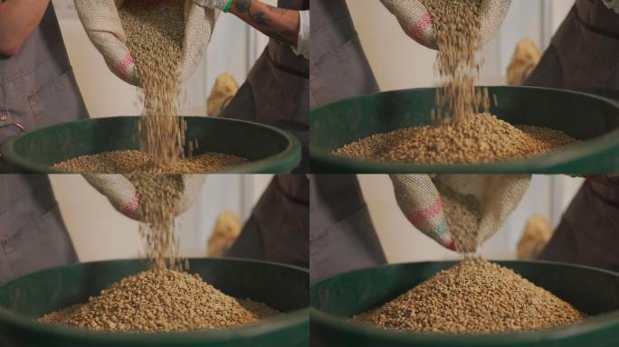 特写镜头：亚裔中国工匠和工人将生咖啡豆从袋子中倒入桶中，准备烘烤