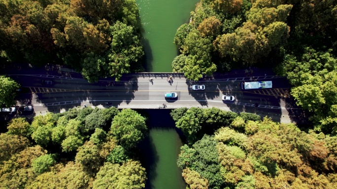 穿过湖泊和树木区域的道路鸟瞰图