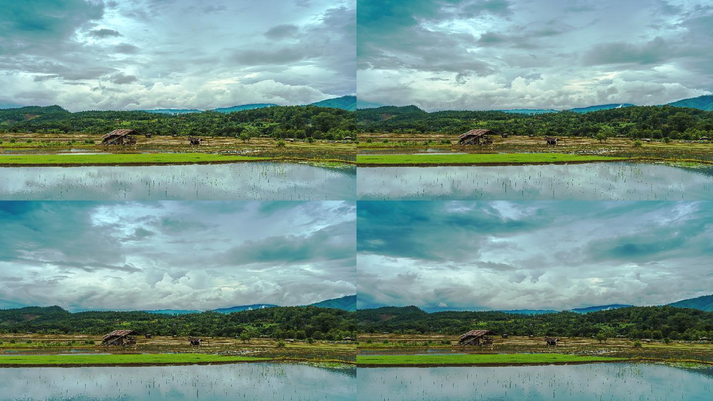 泰国清迈Muang Kong村的Timelapse农业用地和稻田，以山和云为背景。