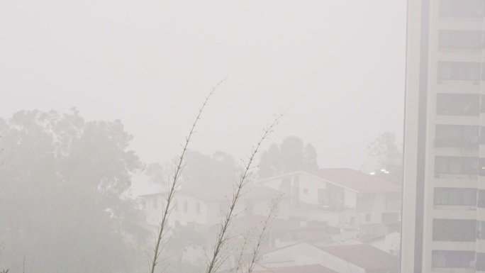 热带城市雨季有大风或阵风的暴雨