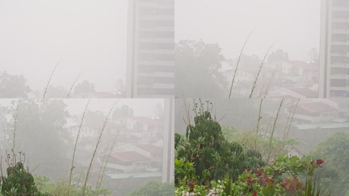 热带城市雨季有大风或阵风的暴雨