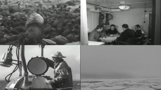 70年代海洋渔业探索海上科学考察潜水