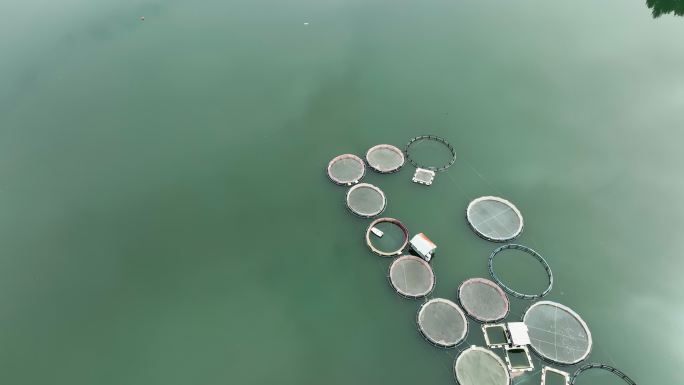渔场鸟瞰图养鱼养殖业