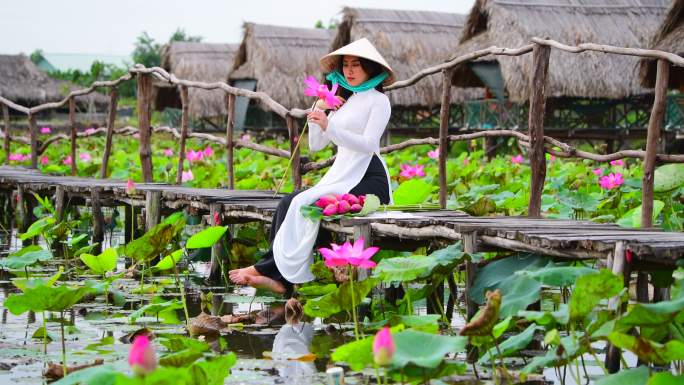 越南妇女坐在莲花田上捧着莲花，越南