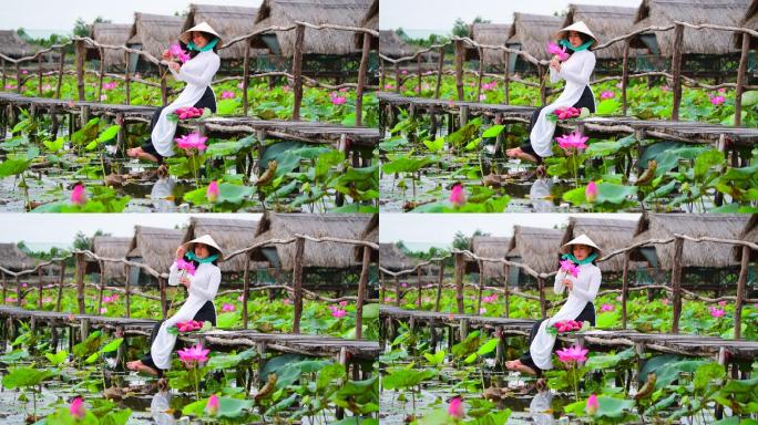 越南妇女坐在莲花田上捧着莲花，越南