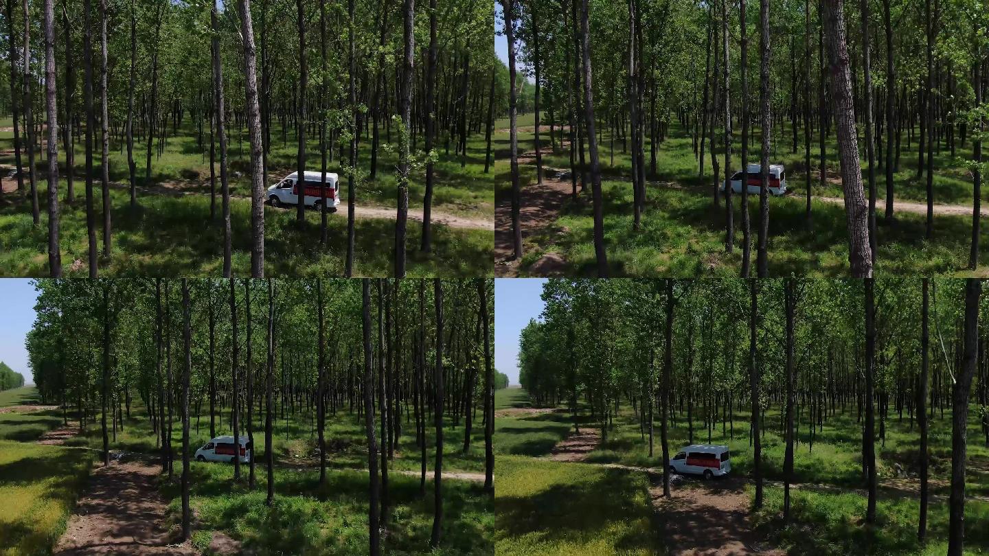 写实场景 高速公路 山路 树林 车路-cg模型免费下载-CG99