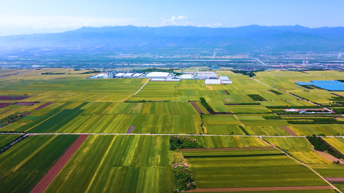 关中平原农田耕地