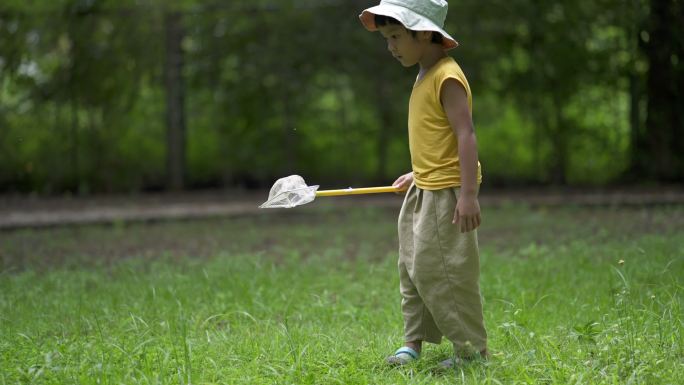 亚洲男孩探索自然界的植物和昆虫生命