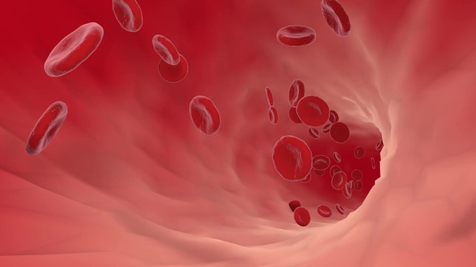 血液流动 红细胞 血管 血小板