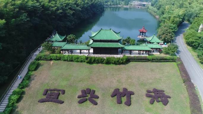 宜兴竹海实拍视频素材