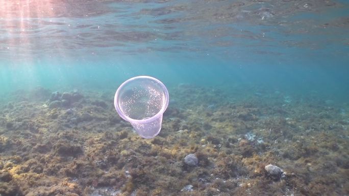 漂浮在礁石附近海洋中的塑料杯