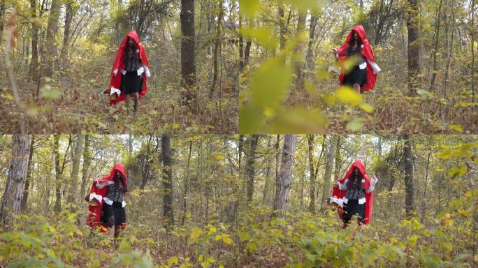 小红帽在森林里迷路了