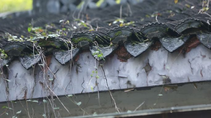 青苔瓦房老旧房屋房顶屋檐一角