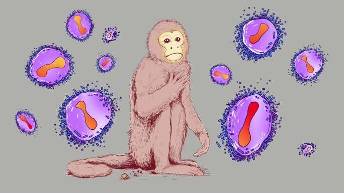 猴痘疫情传播风险-版本2
