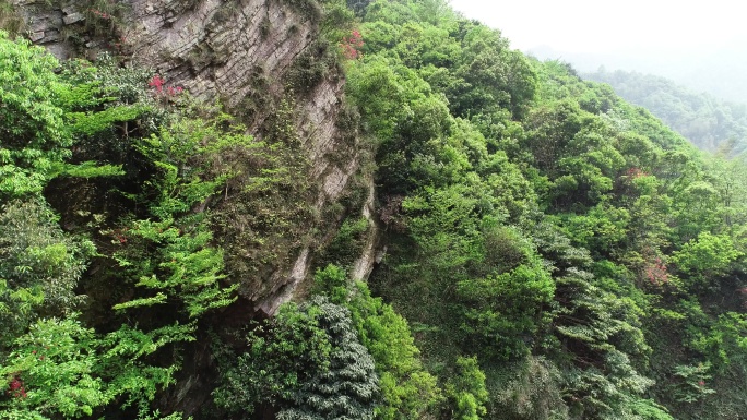 六安茶谷九十里山水画廊