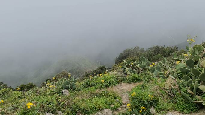 特内里费岛的云层徒步旅行