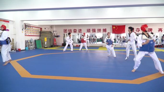 体育中学跆拳道训练对战体育教育