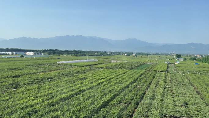 高铁动车运行中窗外的远山和村庄种植基地