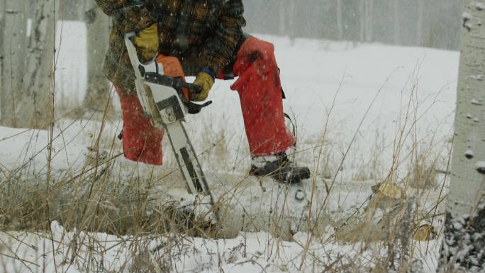 在一个下雪的冬日里，一名30多岁的白人男子用电锯锯砍断了一根白杨木原木