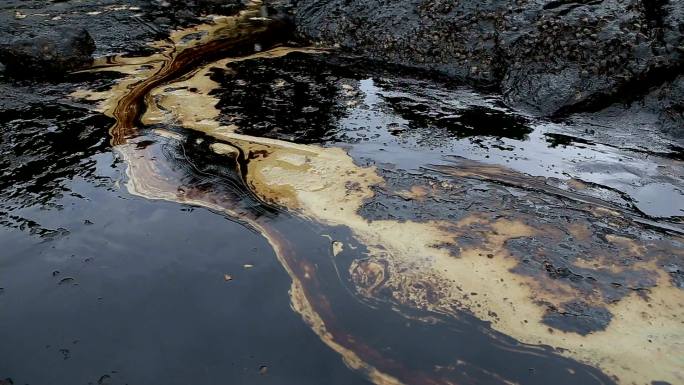 墨西哥湾漏油事件水源污染石油污染石油泄漏