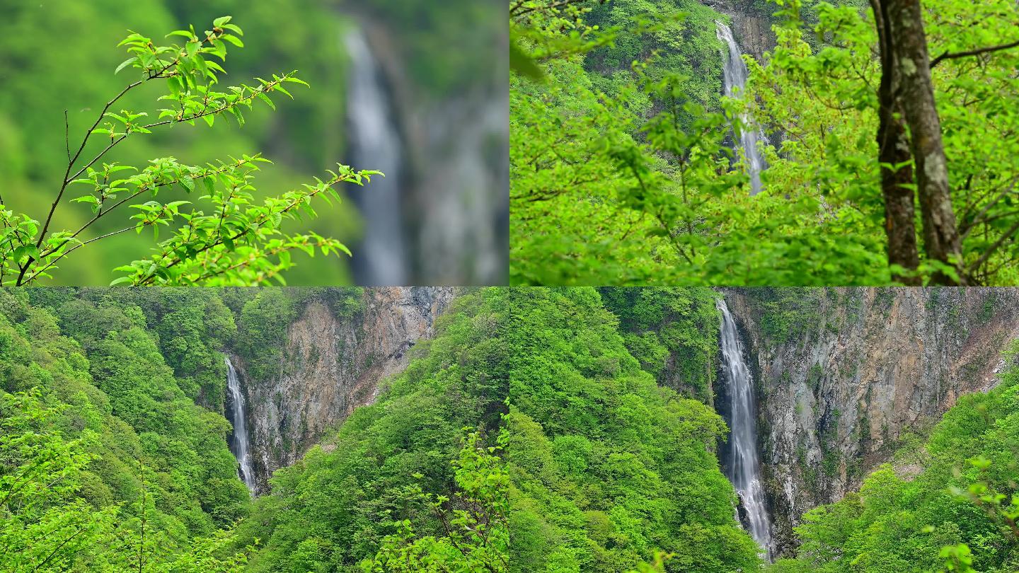 山林瀑布流水空镜头