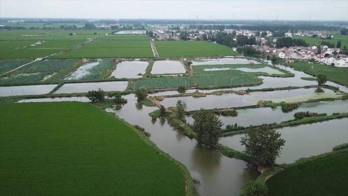 柳堡田园风光风景农田田地航拍A005