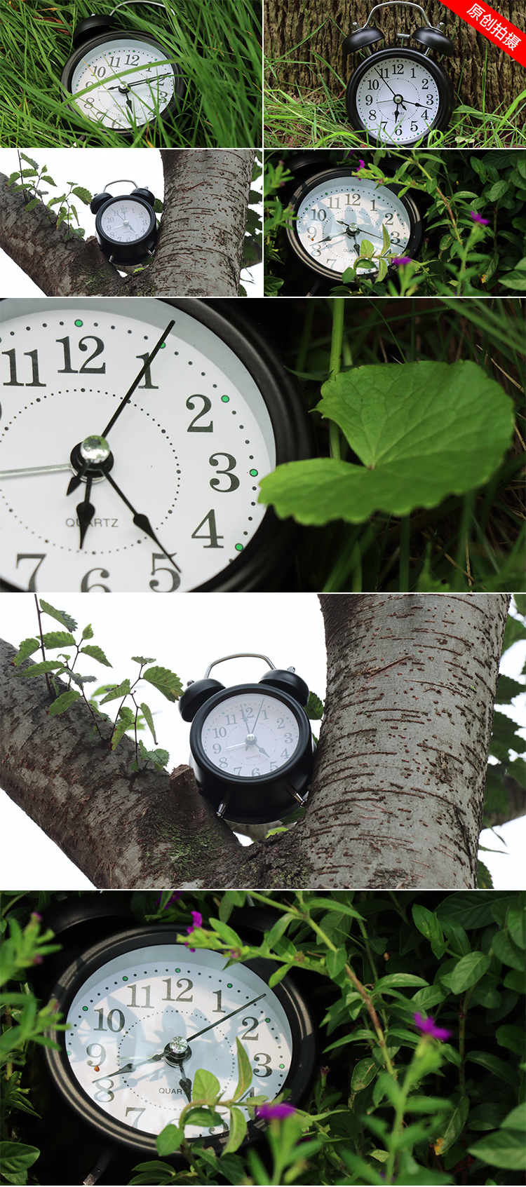 时间与自然融合时钟指针时光流逝时间光影