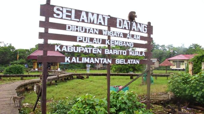 印度尼西亚南加里曼丹岛凯邦岛猴林欢迎标志