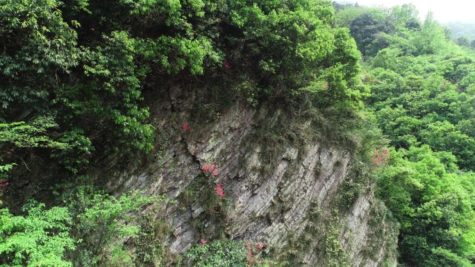 六安茶谷九十里山水画廊