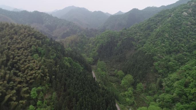 六安茶谷九十里山水画廊