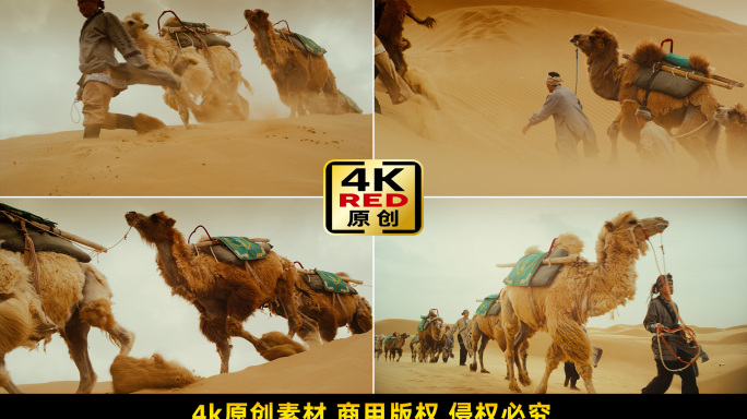 大漠黄沙沙漠之舟骆驼驼队沙尘暴商队张骞