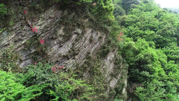 六安茶谷九十里山水画廊