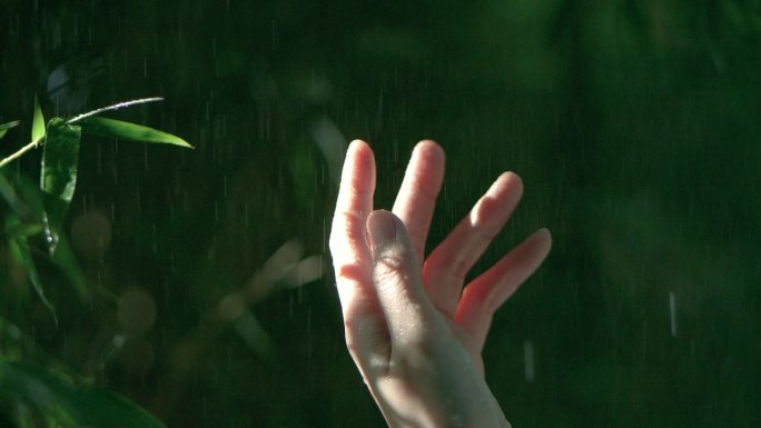 女孩伸手感受雨滴，抚摸竹叶感受大自然视频