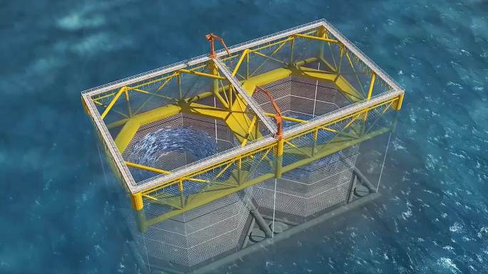 海上养殖 海洋牧场  水产养殖 三维动画