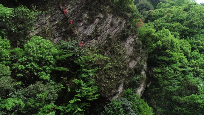 六安茶谷九十里山水画廊