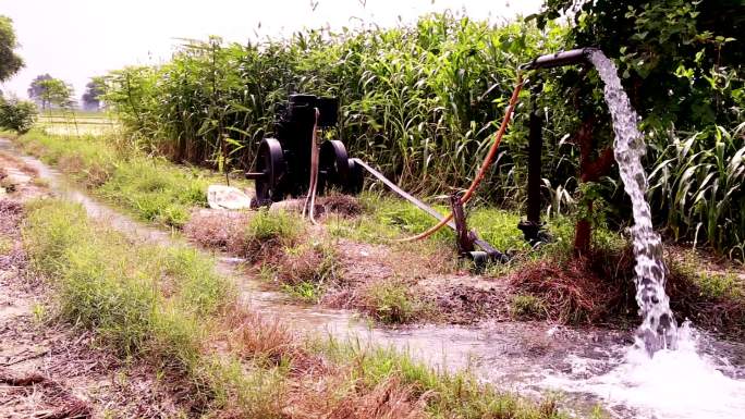 印度农村管井灌溉灌溉